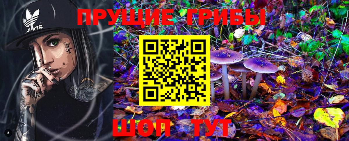 Нефтекумск  Псилоцибиновые грибы MAGIC MUSHROOMS  Вход с VPN 